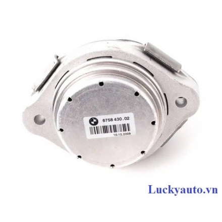 Cao su chân máy xe BMW X5_ 3002211120